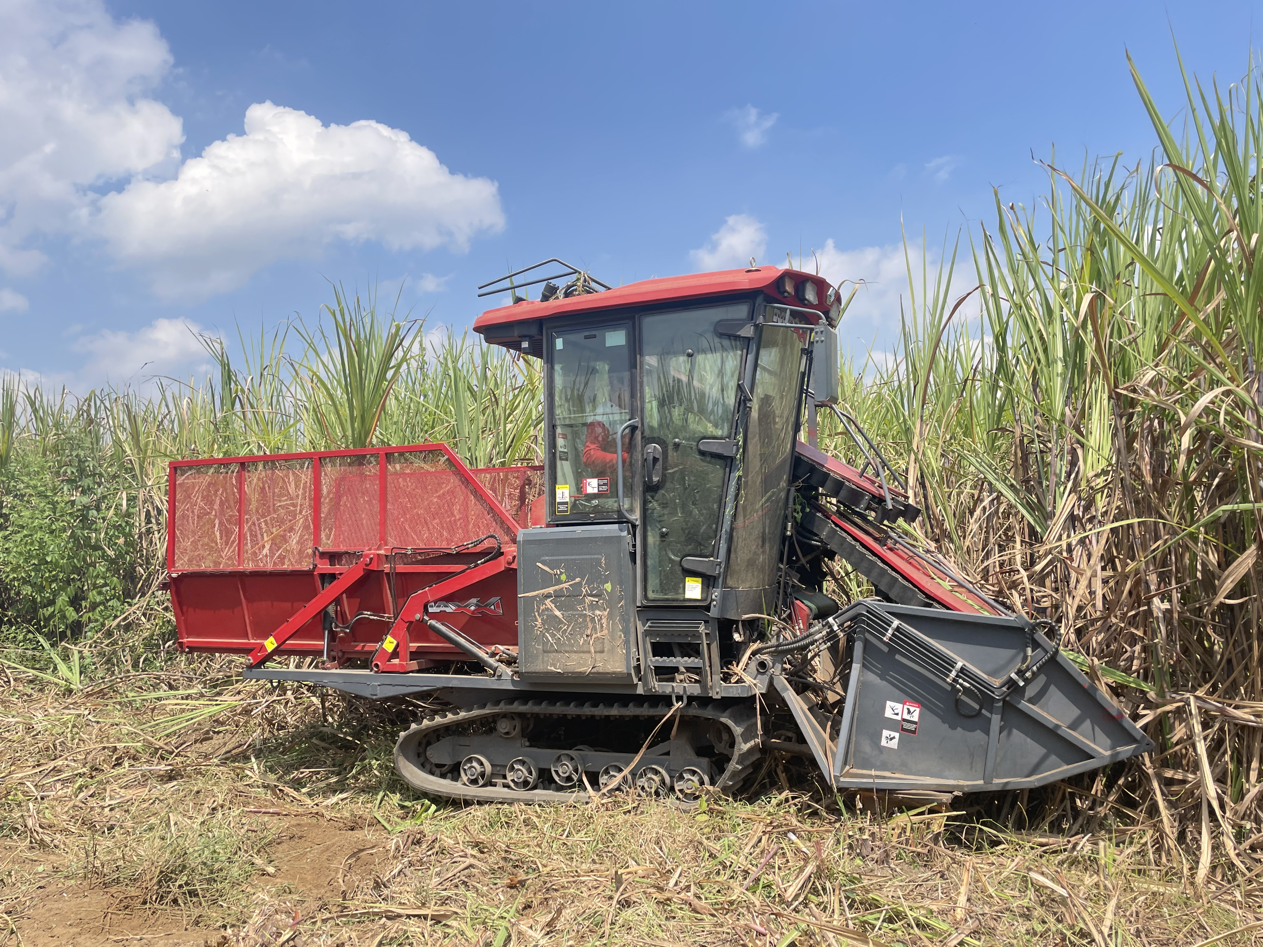 FMWORLD Sugarcane Harvester-4GD-1