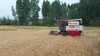 FMWORLD Wheat Harvester