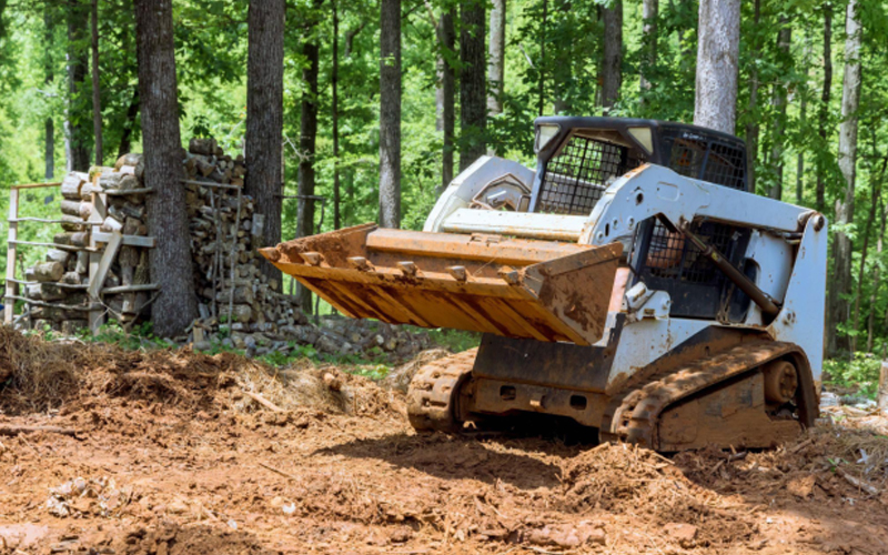 A Skid steer working in the forest.