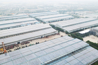 Comperhensive Production Basis (South China)