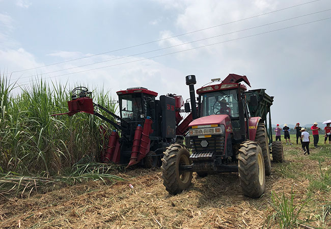 small sugarcane harvester
