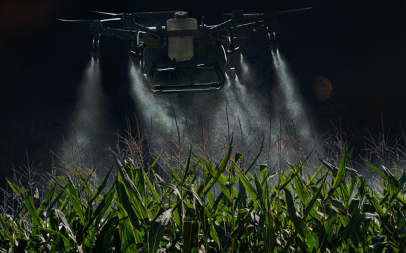 A large agricultural drone sprays a corn field at night time