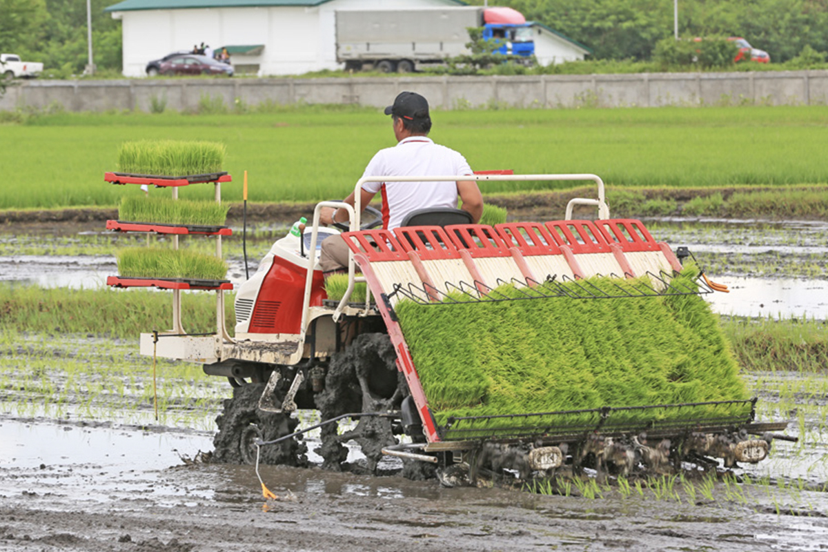 Rice Transplanter Series.jpg