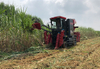 sugarcane harvester for india