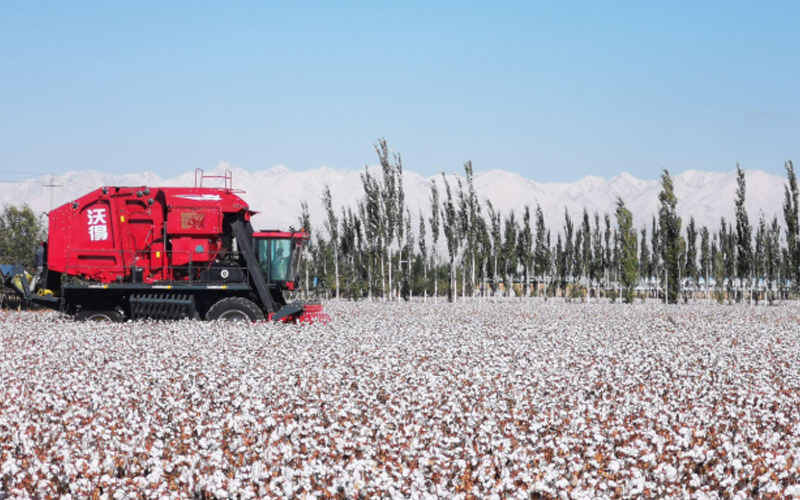 A red FMWorld harvester is operating in a cotton field with mountains in the background.