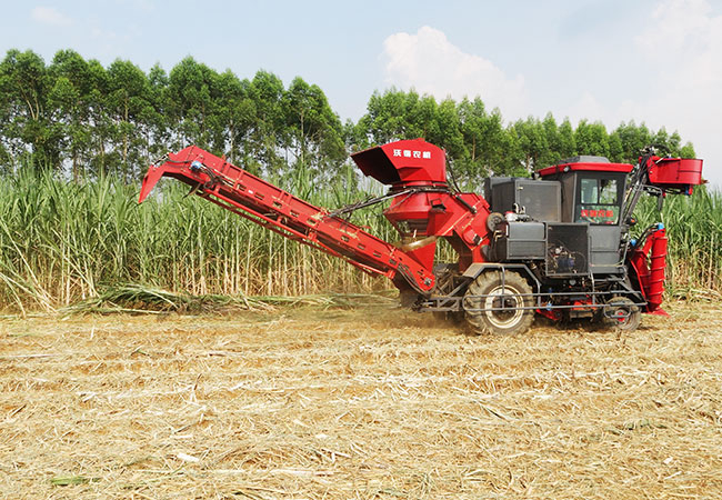 small sugarcane harvester | FMWORLD Agricultural Machinery