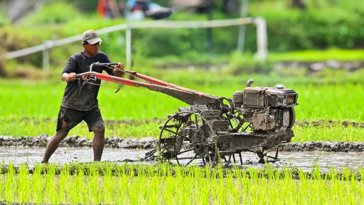 How Much is A Rice Transplanter?