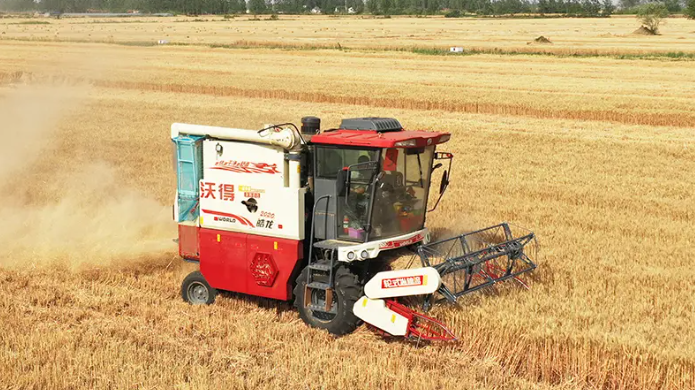 corn harvester